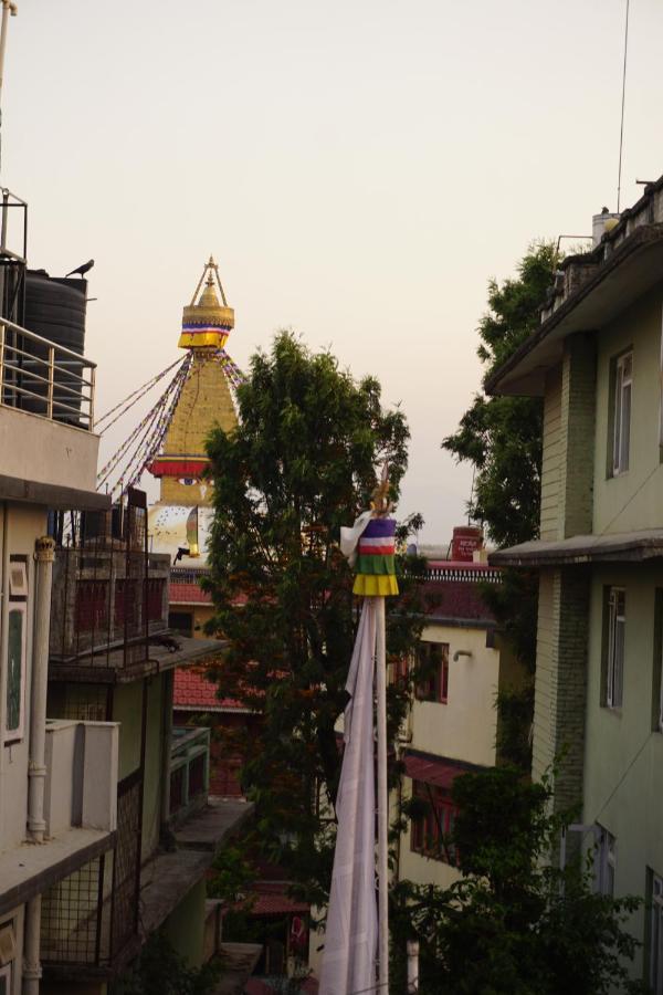 Drakon Nest Homestay Κατμαντού Εξωτερικό φωτογραφία